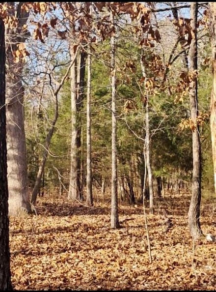 41 Winnebago Dr, Cherokee Village, AR 72529