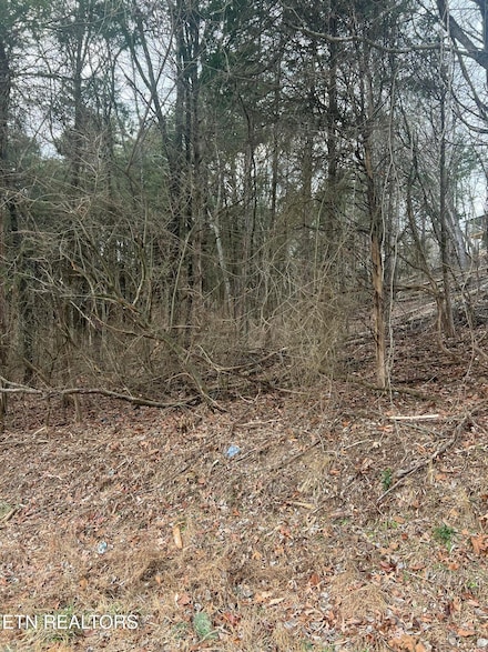 306 Kawga Trace, Loudon, TN 37774