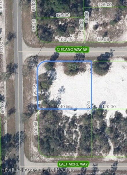 101 Chicago Way NE, Lake Placid, FL 33852