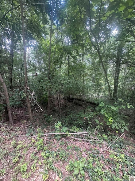 0000 Country Hills Dr, Eddyville, KY 42038