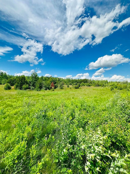 TBD Hawks Dr Unit Parcel D, Republic, MI 49879