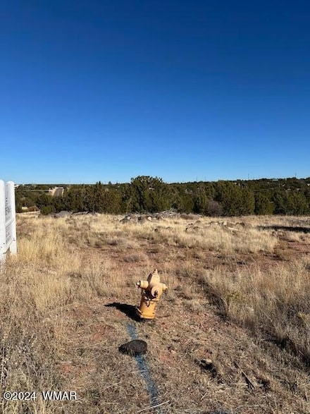 8420 Silver Creek Dr, White Mountain Lake, AZ 85901