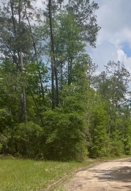 205 Pvt Rd 5172, Kirbyville, TX 75956