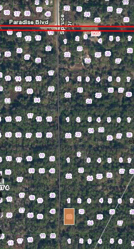 TBD Siesta Dr, Georgetown Cove, FL 32139