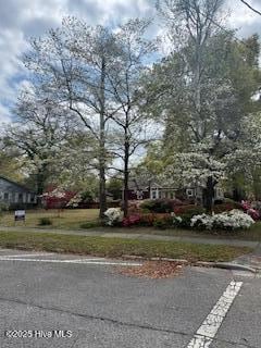 2009 Adams St, Wilmington, NC 28401