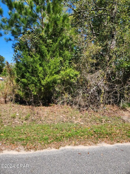 XX NW Camelia St, Bristol, FL 32321