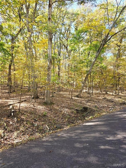 496 Lake Sherwood Dr, Charrette Township, MO 63357