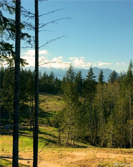 8451 Coyle Rd, Quilcene, WA 98376