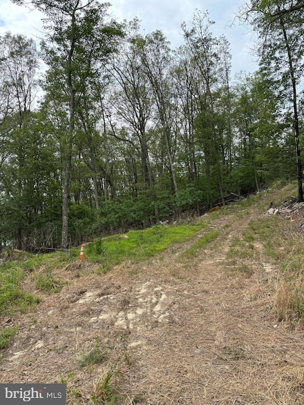 Lot 17 Roberts Rd, Great Cacapon, WV 25422