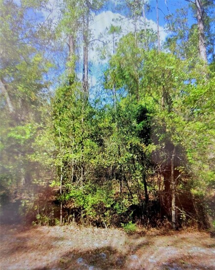 102 1st St, Georgetown Cove, FL 32139