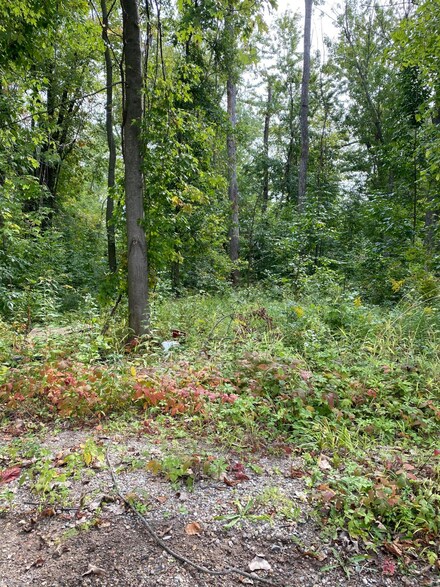 4410 Lovers Ln NE, Comstock Park, MI 49321