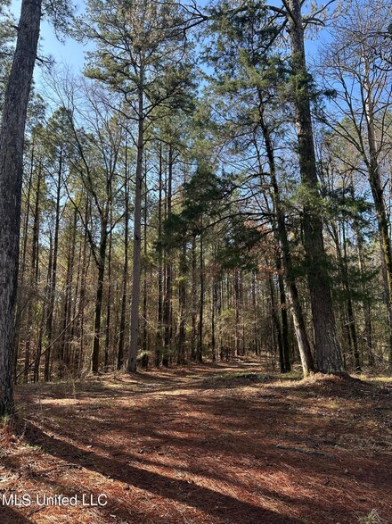 344 Hines Rd, Camden, MS 39045