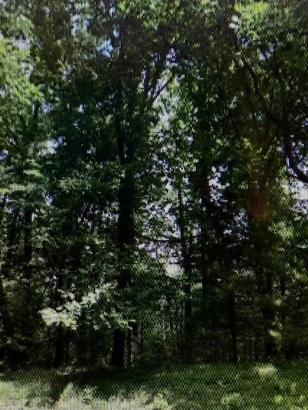 0 Raintree Rd Unit 921906, Cave Spring, VA 24018