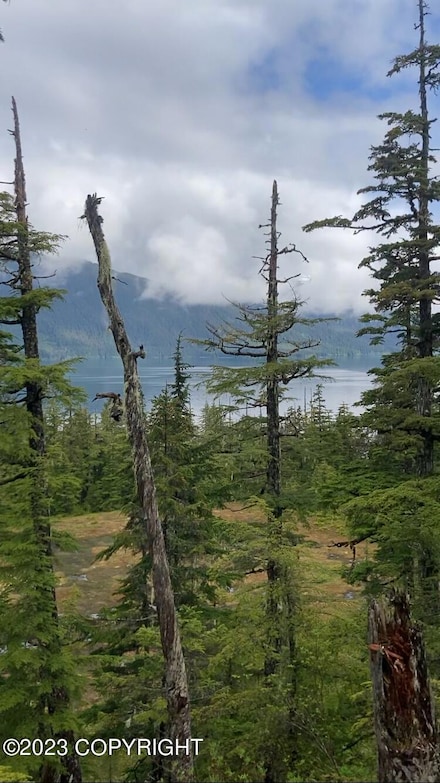 L20 Patent Place, Tatitlek, AK 99677