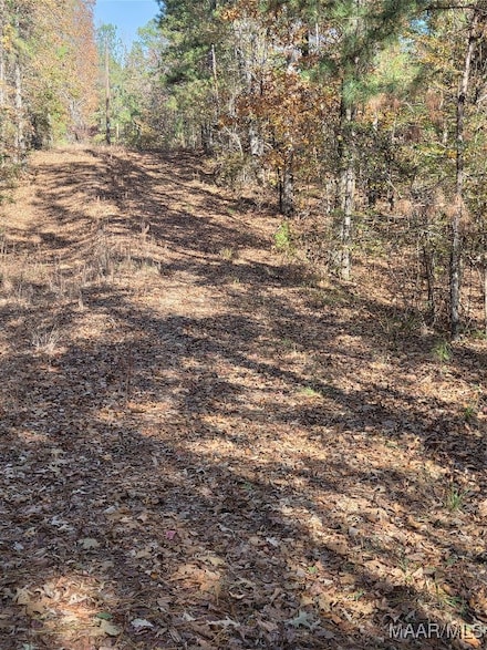 0 Parker Rd, Wetumpka, AL 360