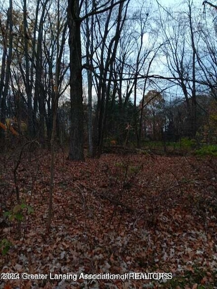 0 Beechwood Dr, Wheatfield Township, MI 48895