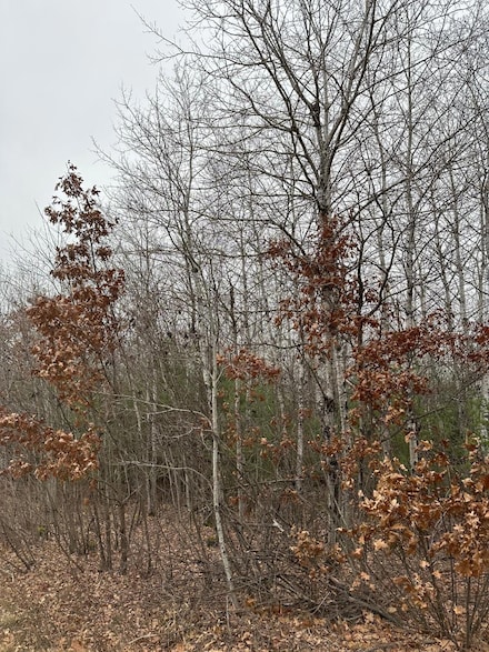 ON Swamp Creek Rd Unit 4069-4, Nokomis, WI 54487