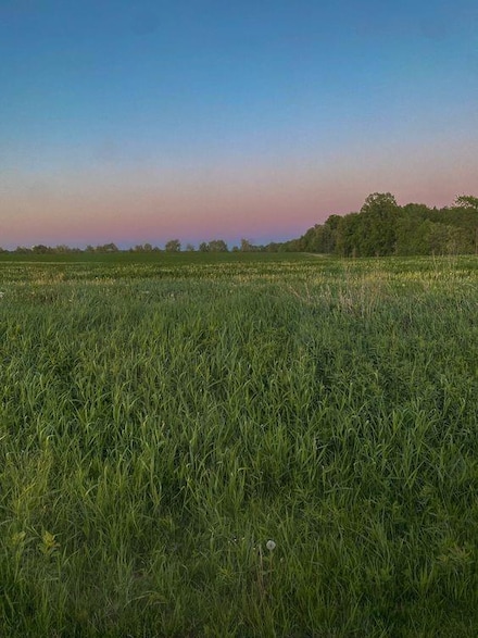 Lot 1 State Route W, Drexel, MO 64742