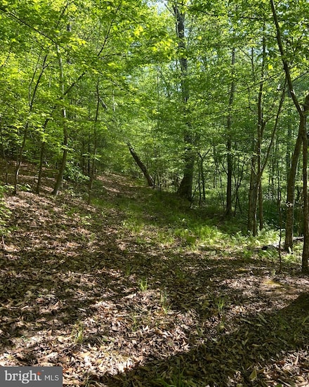 Lot 1 Wallace St, Warsaw, VA 22572