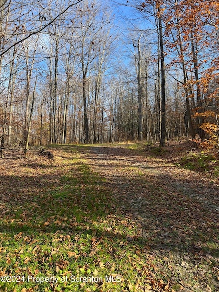 0 Milton Ln, Warren Center, PA 18851