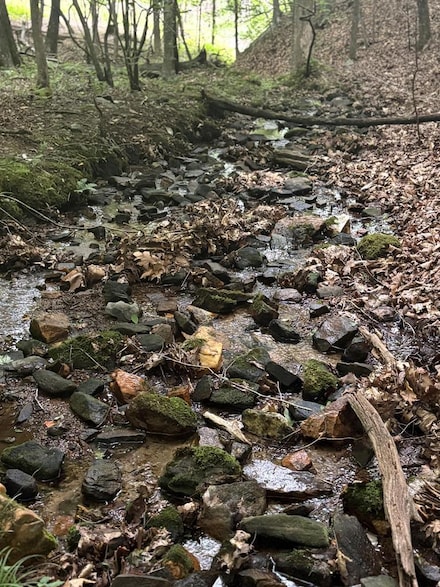 0 Walker Dr Unit 416599, Morganton, GA 30560