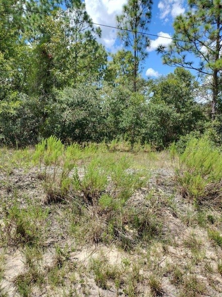 0 SW Cottonwood Ln Unit MFROM685271, Dunnellon, FL 34431