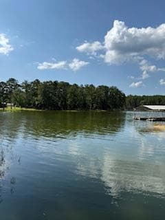 711 Galaxy Dr S, Abbeville, GA 39854