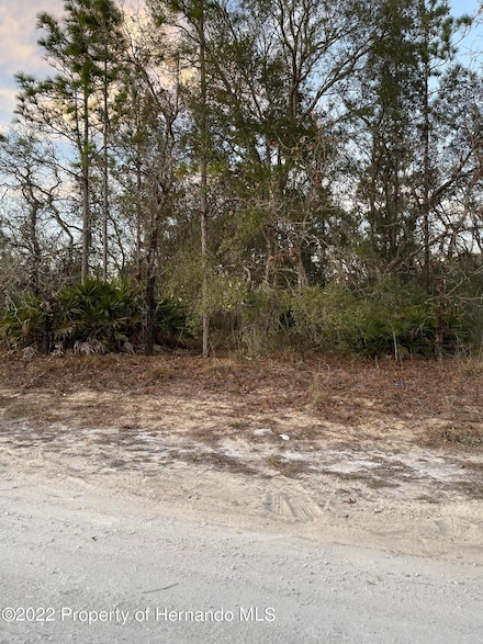 0 Eadom Ave Unit 2252898, Weeki Wachee, FL 34614