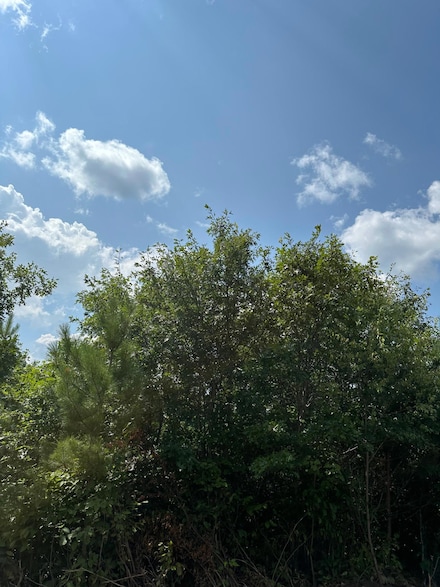 ON Cth Y Unit Lot 9, Tomahawk, WI 54487