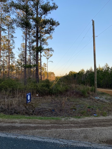 TBD Possum Corner Rd Unit 10, Early Branch, SC 29916