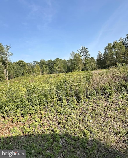 254 Pennington Rocky Hill Rd, Pennington, NJ 08534