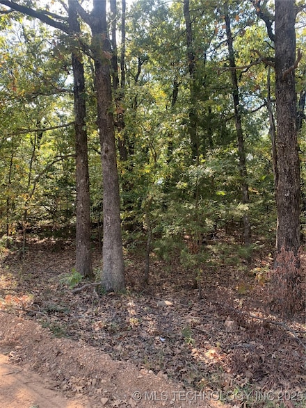 0 S 4530 Rd Unit 2525407, Vian, OK 74962