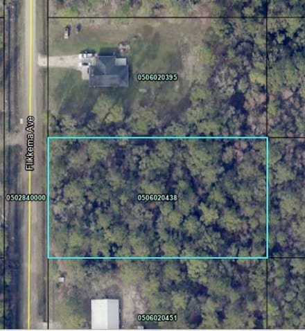 10110 Flikkema Ave, Flagler Estates, FL 32145