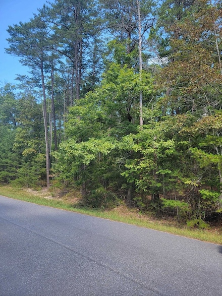 2985 New Ridge Rd, Elliston, VA 24087