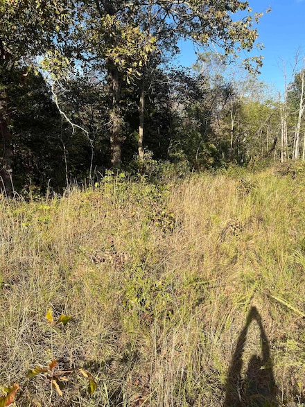 2 Silver Fox Ridge Rd, Salem, AR 72576