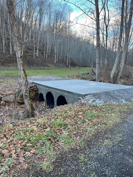 0 Leonard-Cordova Rd Unit 25-210, Renick, WV 24966