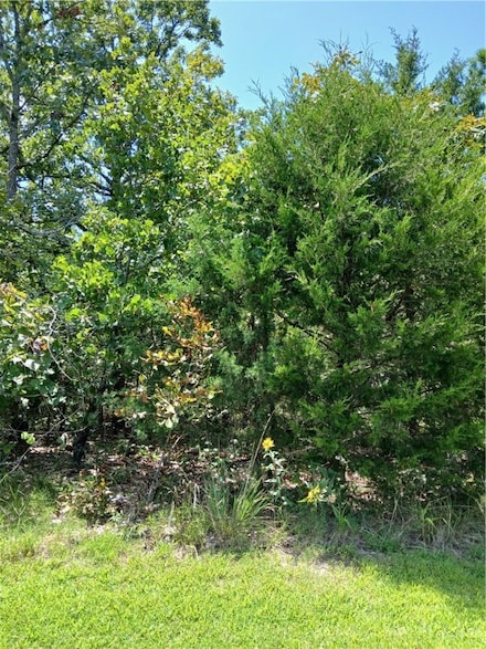 TBD Ben Nevis, Briarcliff, AR 72653