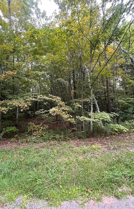 224 Bailey Rd, New Ashford, MA 01237