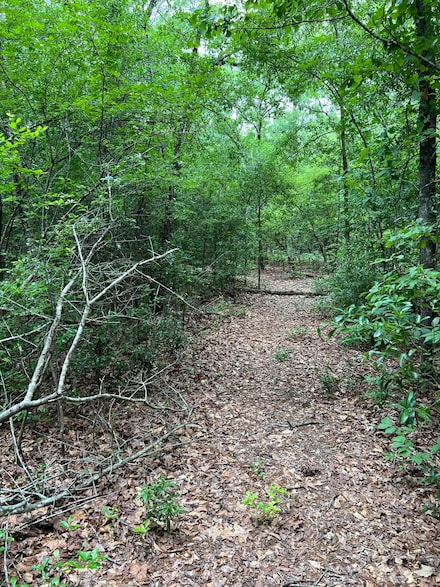 0 Lyndale Dr Unit Lot 4 212027, West Columbia, SC 29170
