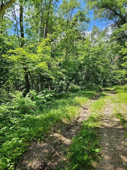 Lots 50-53 Snoquainie Ln, Breezy Point, MN 56472