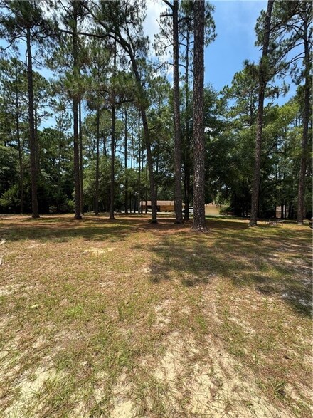 00 Little John Dr, Other, GA 30453