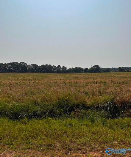Tract 56 Hays Mill Rd, Elkmont, AL 35620