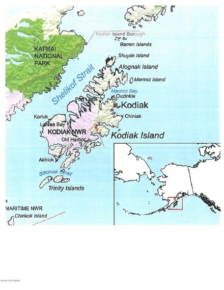 ASLS 16880 Ugak Bay, Old Harbor, AK 99615