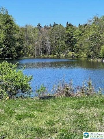 0 Covington Lake Dr Unit lot 21 754999, Covington Township, PA 18424