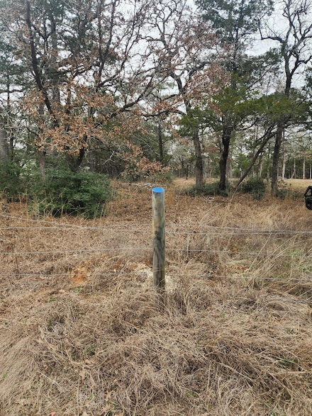 00 Milam, Bastrop, TX 78602