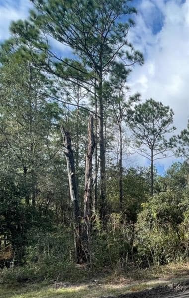 0 SE 32nd Place SE Unit OM650165, Morriston, FL 32668