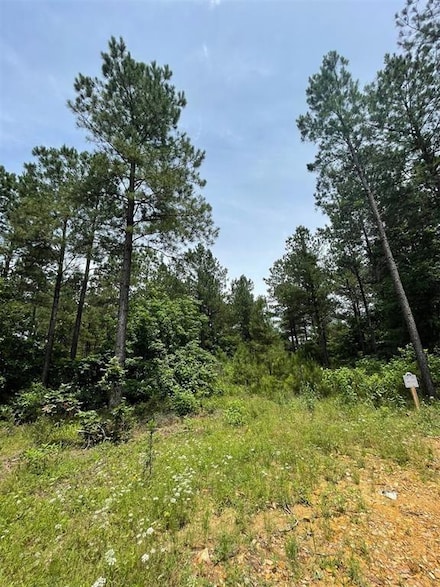 48 Cedar Hilltop Way, Broken Bow, OK 74728