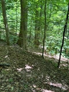 0 Cherokee Cir Unit LOT 11 CAR4153773, Tryon, NC 28782