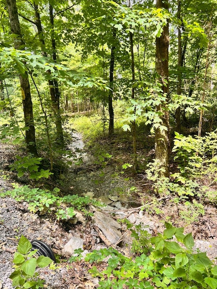 0 Heine Ln, Hartsville, TN 37074