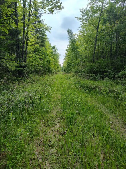 ON Meister Stockley Rd, Schoepke, WI 54463
